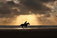 /album/fenykepgaleria/large-19-jpg/